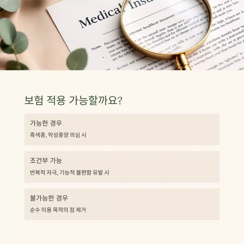 점 제거 시 보험 적용 가능 여부를 정리한 이미지. 흑색종 등은 가능, 반복 자극 시 조건부 가능, 미용 목적은 불가로 구분됨.